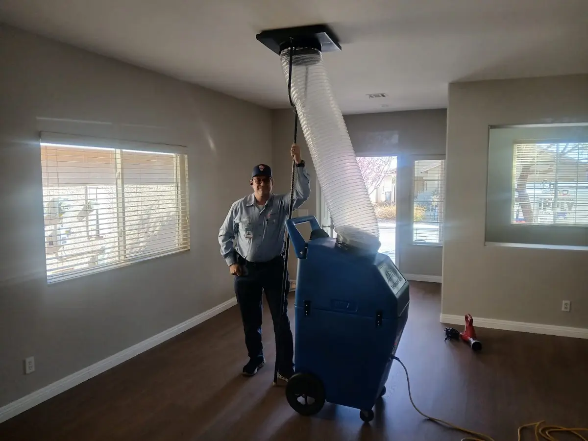 Professional Dryer Vent Cleaning work inside a Northvale home